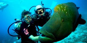 Scuba Diving in Andaman - Things to Note