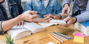 Education Consultant