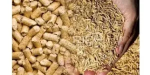 rice pellete